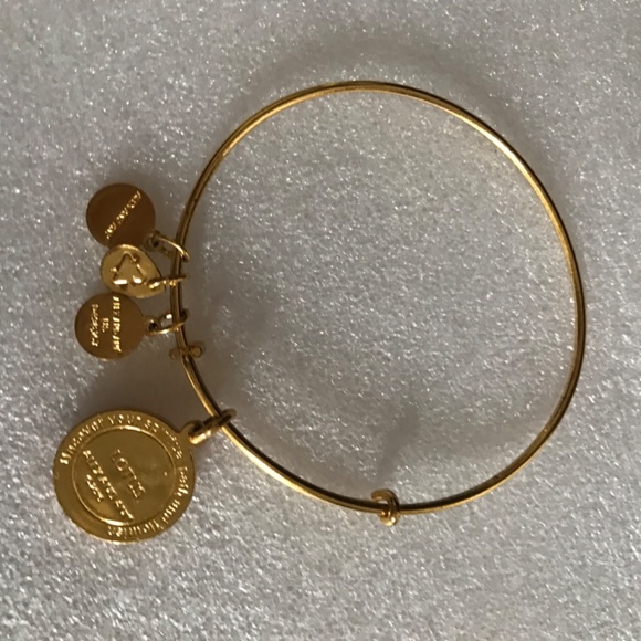 Alex and Ani Expandable Wire Bracelet - Picture 12 of 12